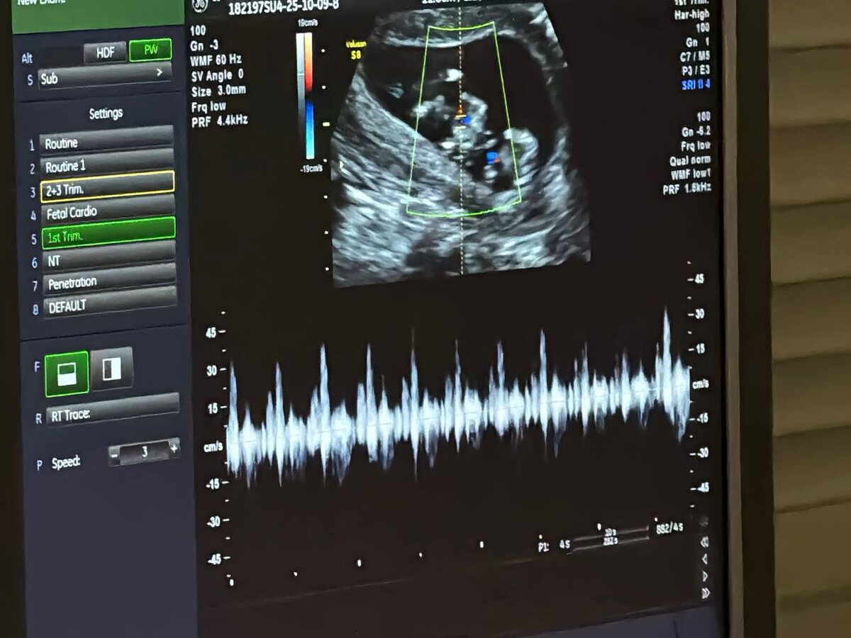    Фото: Администрация Костромской области, источник: adm44.ru