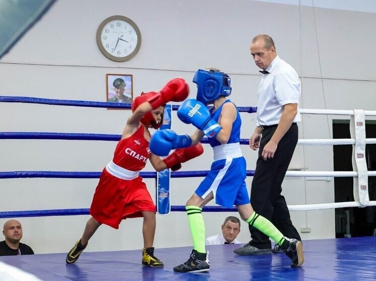     Фото: телеграм-канал администрации Выборгского района.