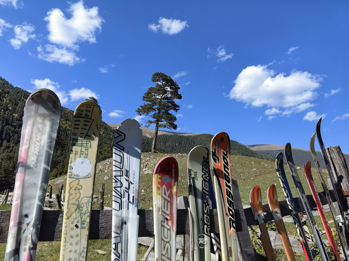 Креативный забор базы