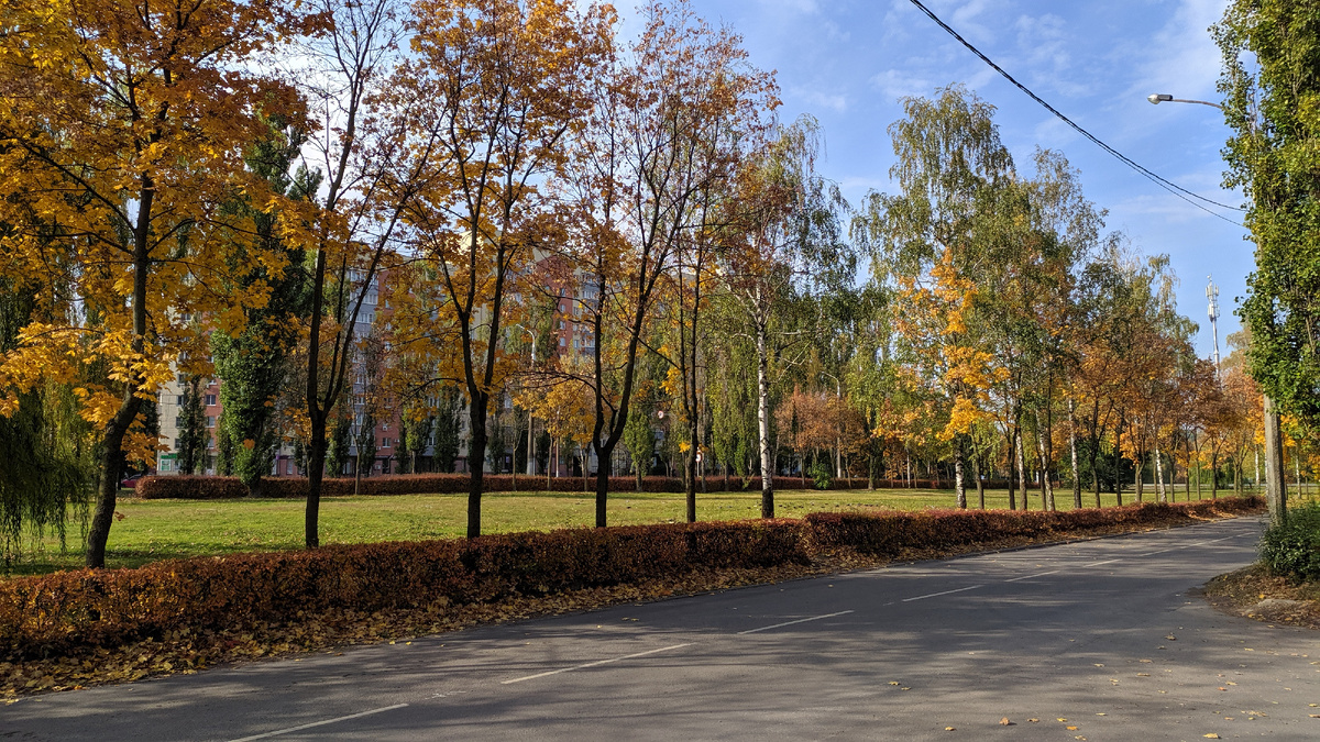 Фото автора, как и все в этой статье.