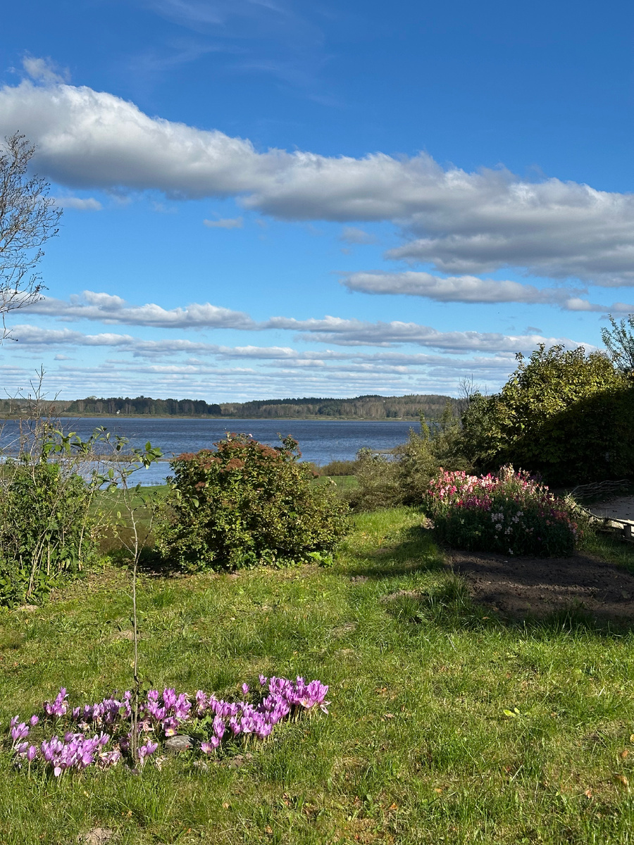 Вид с крылечка главного дома