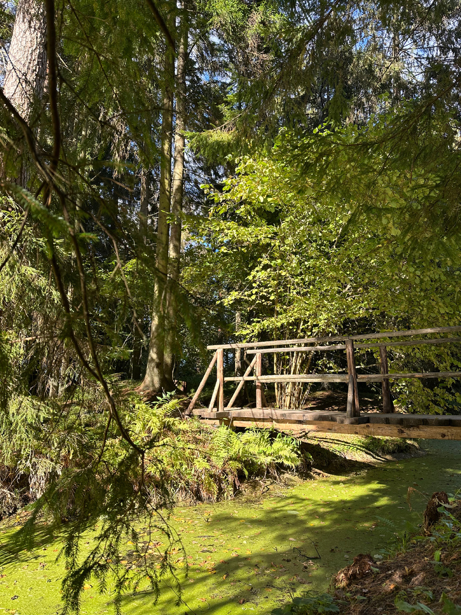 Ганнибалов пруд