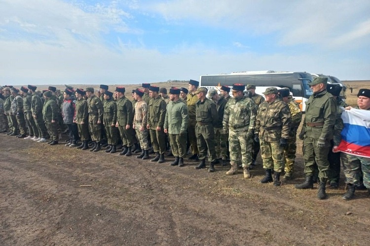    Фото сайта правительства РО Татьяна Пшеничная