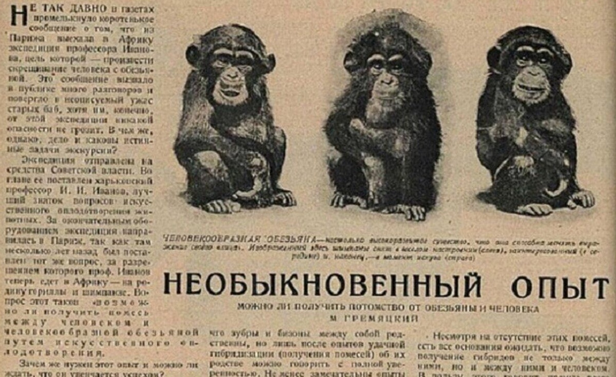    Разумеется, об эксперименте Ильи Иванова писали в газетах. Источник изображения: dzen.ru