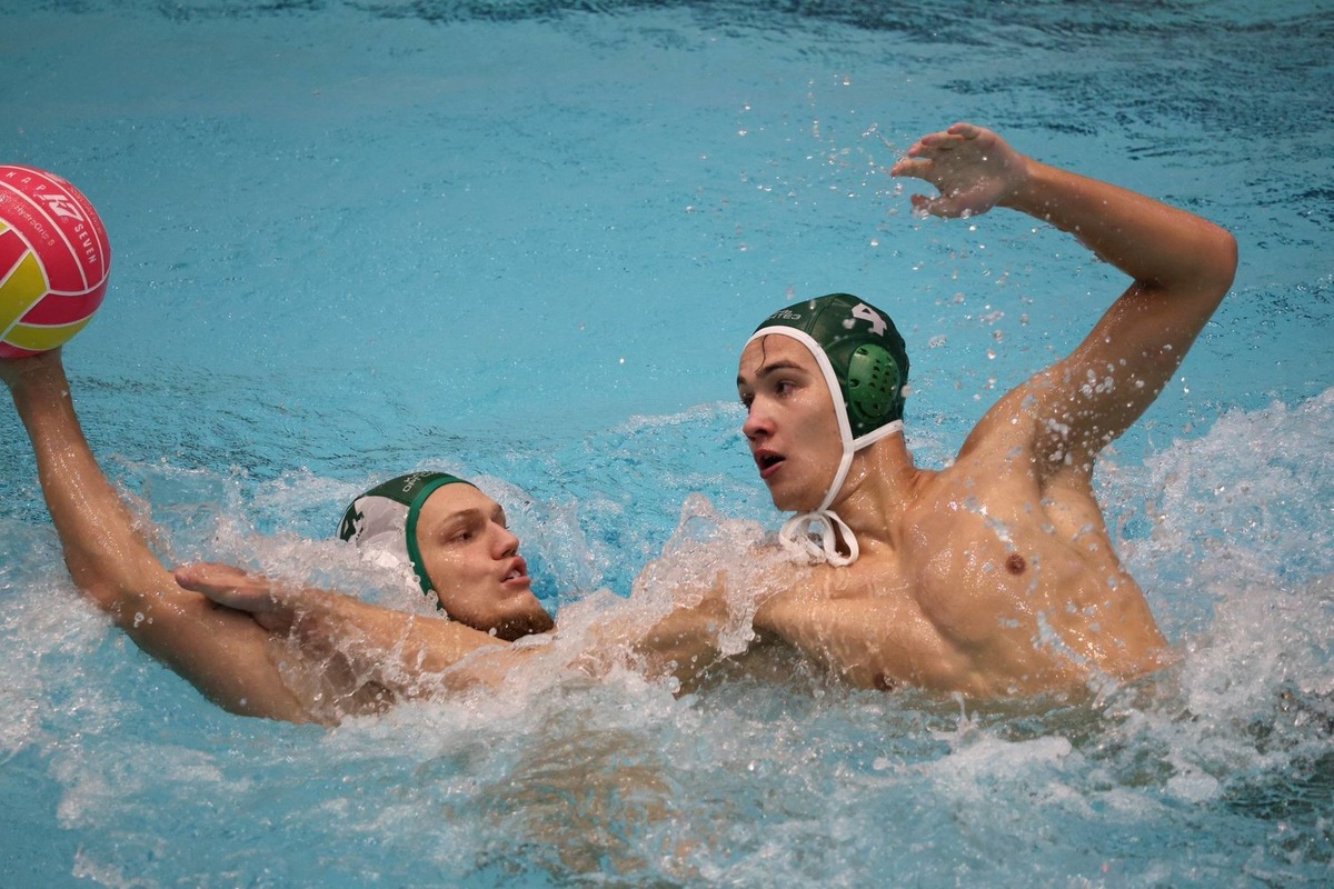   предоставлено СК «Синтез»