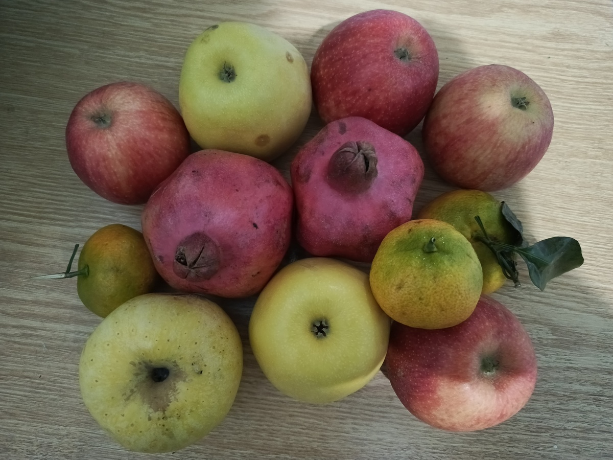 Это только маленькая часть фруктов, что мы купили.