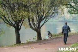 Ямальские депутаты поделились методами борьбы с осенней апатией
Фото: Немышев Вячеслав © URA.RU