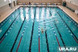 Плавание в бассейне
Фото: Никита Сабашников © URA.RU