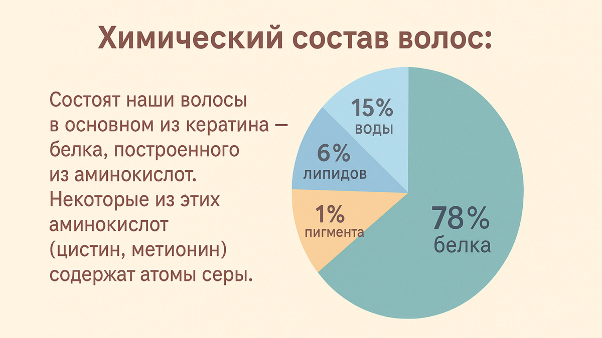 Примерный химический состав здорового волоса таков: 15% воды, 6% липидов, 1% пигмента и 78% белка