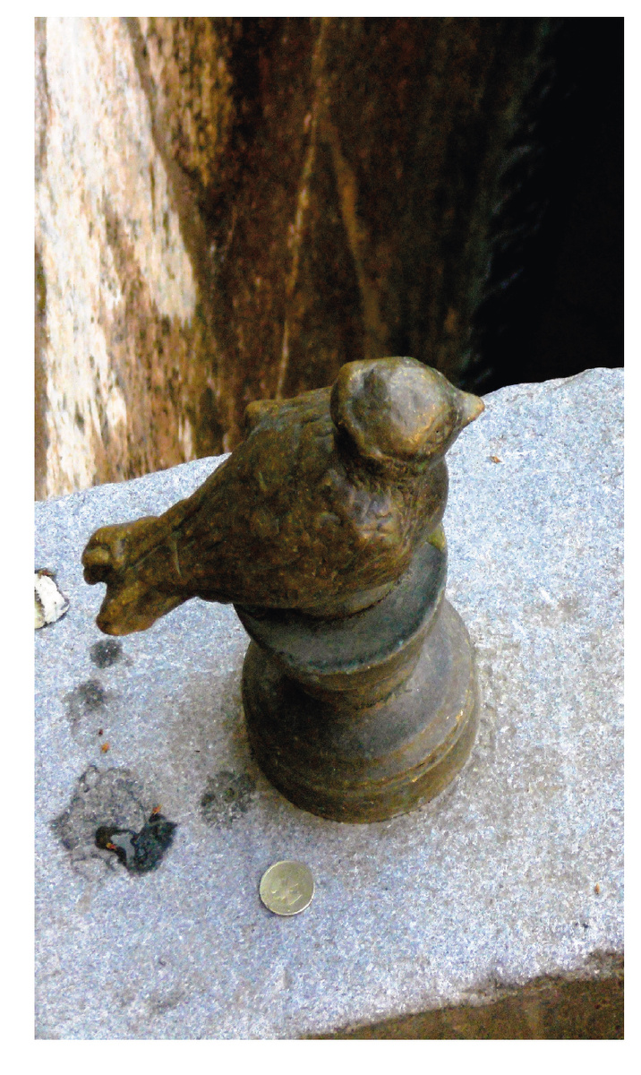 Вот он, сердечный. Фото автора