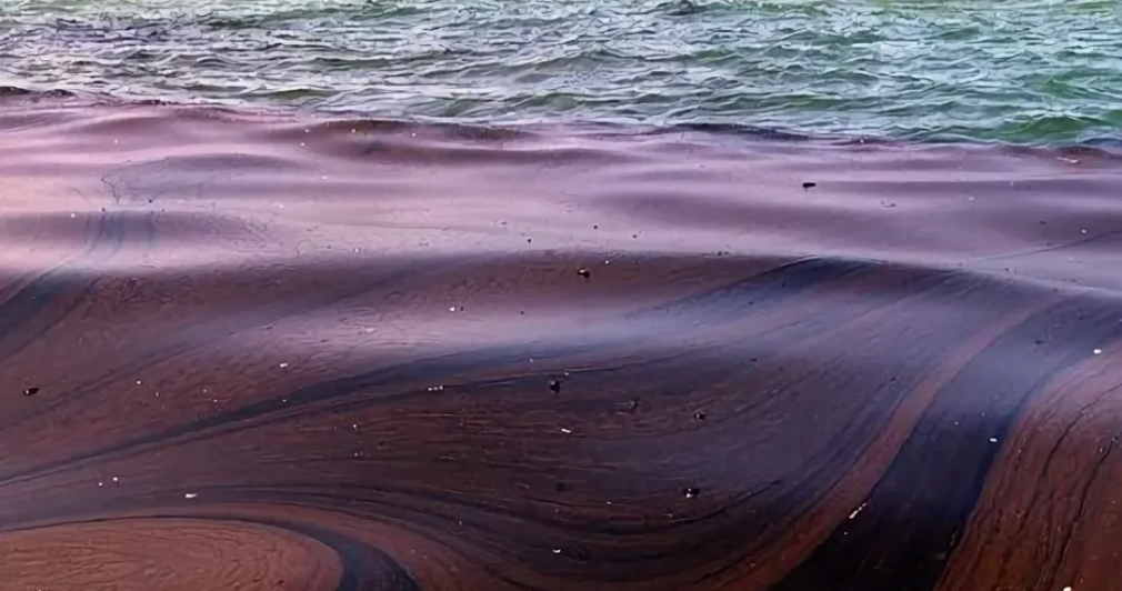 Это безобразие - результаты деятельности человека.  Фото:  gorodn.ru