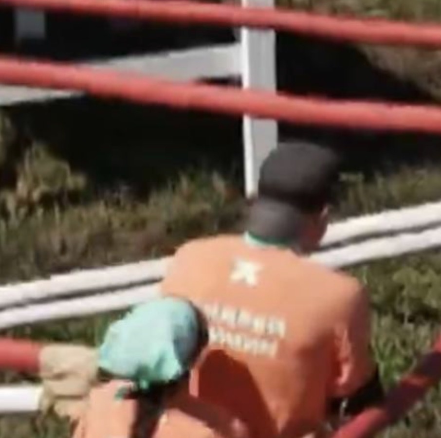 Андрей Минин.