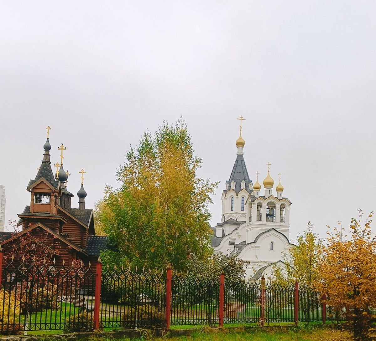 Фото Елены Шантаренко t.me/moscow_mylove