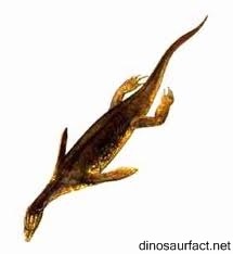 Каринтиязавр, иллюстрация.