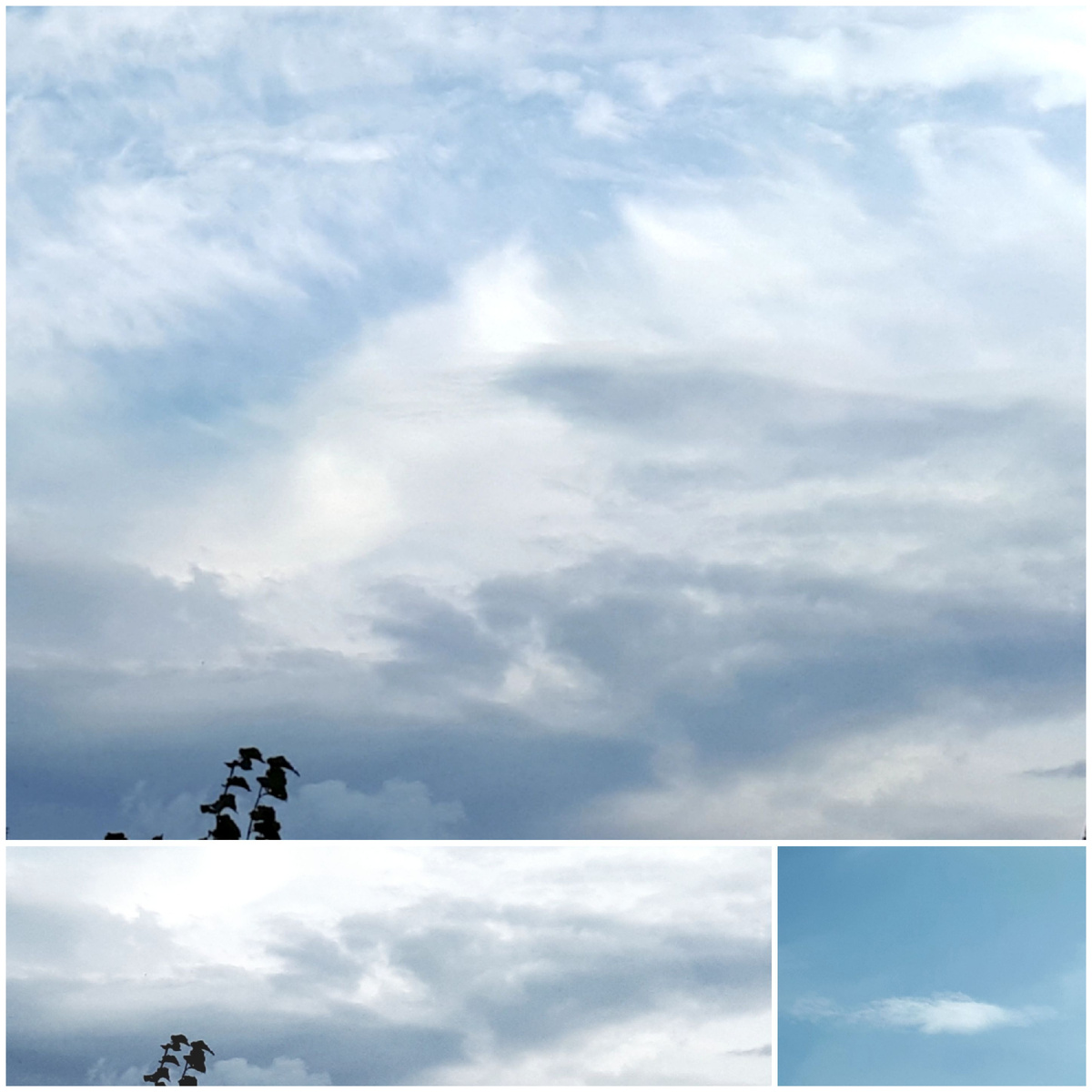 Коллаж автора 09.10.2025г.