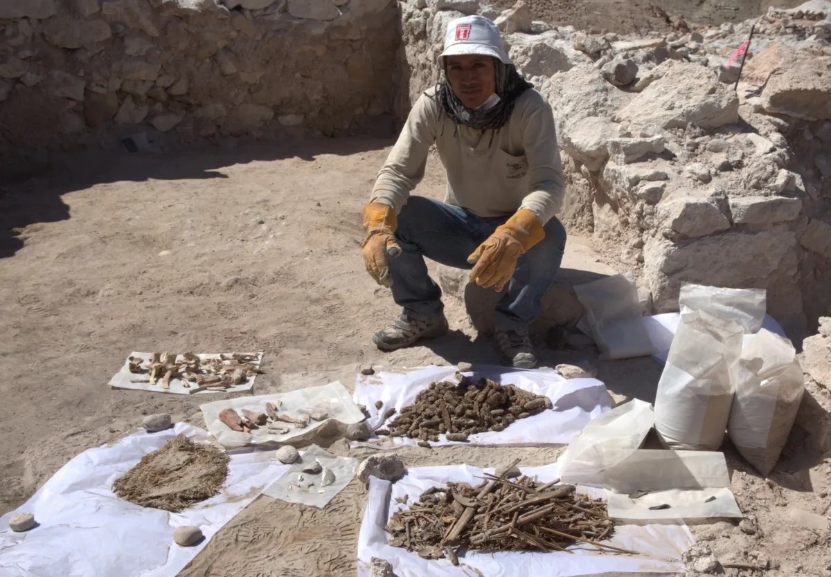    Кости, керамика, ботанические остатки и другие находки людей Уари на месте Quilcapampa. /Lisa Milosavljevic)