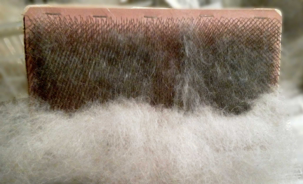 Шерсть чешим ческами.