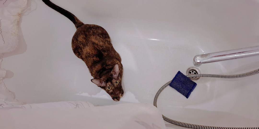 Лидский квас