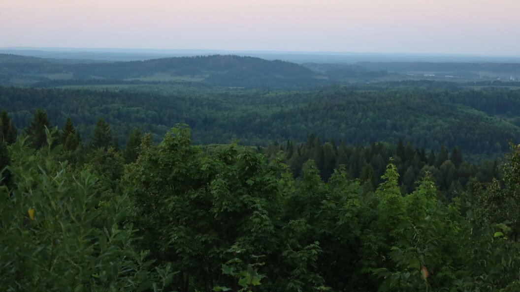    Фото: Elena Mayorova/Globallookpress