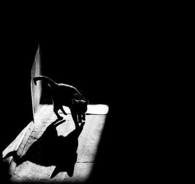 Картинка взята из интернета