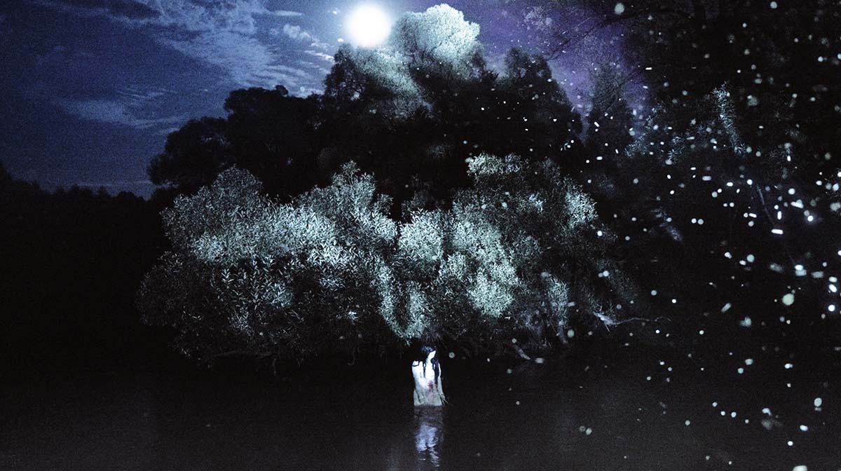     Кадры из фильма «Галлюцинат»