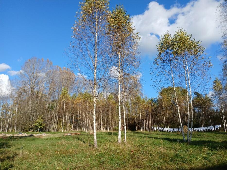 Парк «Тропы»
Фото: Юлия Кузьмина