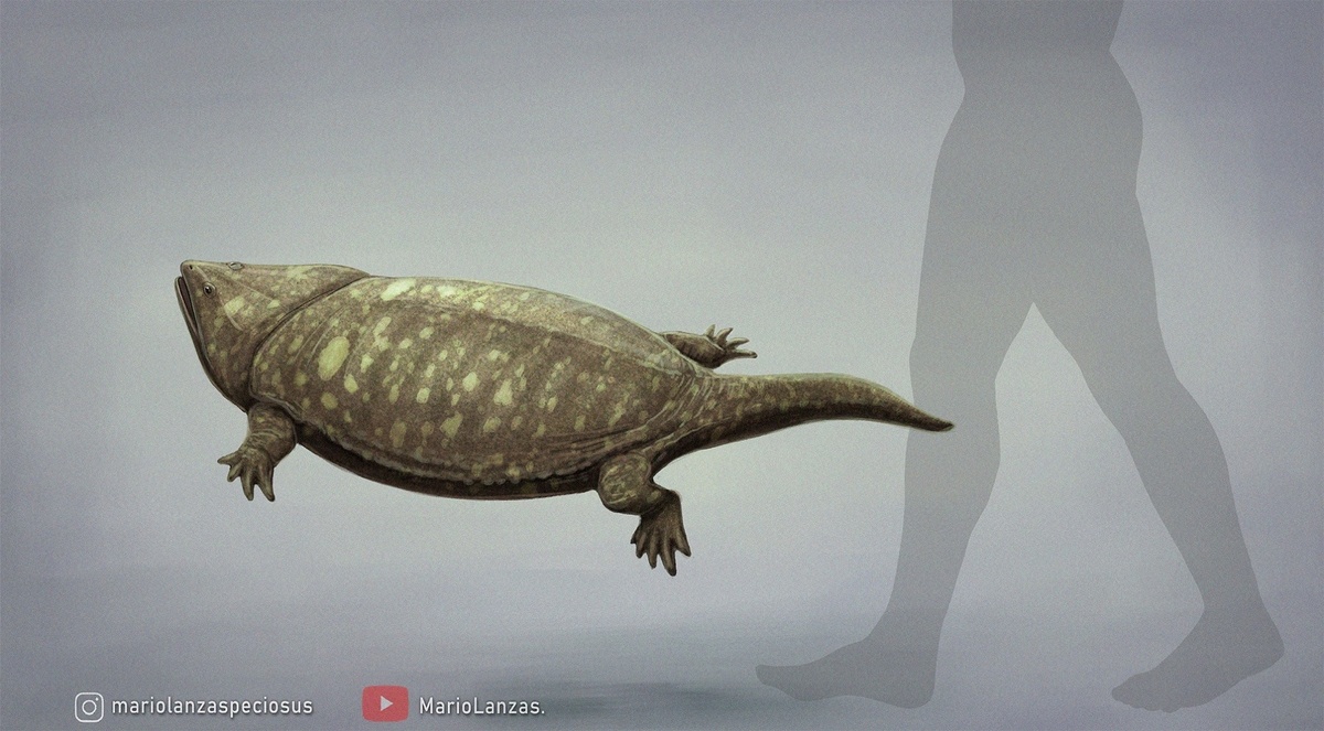 Уруйелла по сравнению с человеком, арт от Марио Ланзаса.