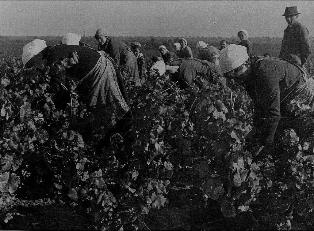 Немецкие крестьяне середины 30-ы= годов. Оригинал по ссылке: https://foto-history.livejournal.com/7222336.html