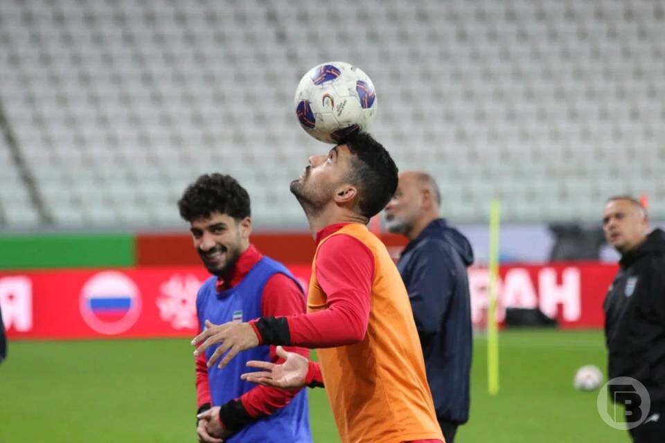    фото: Матвей Горбунов/"Городские вести"