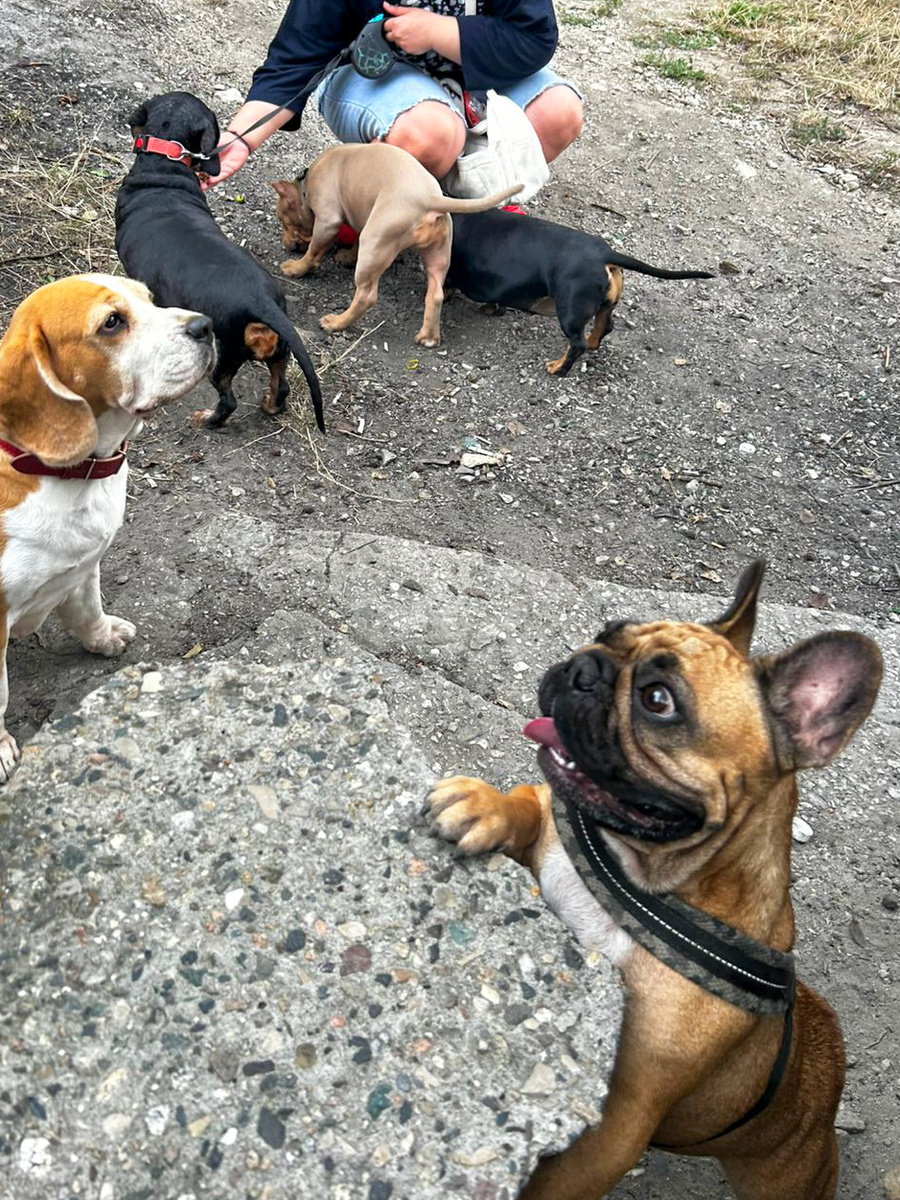 Жуля на фото не попала, к сожалению