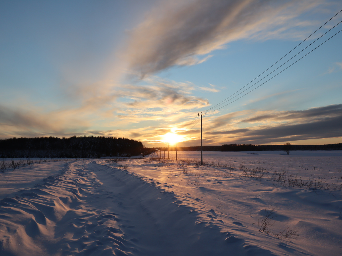 Между Йолем и Имболком