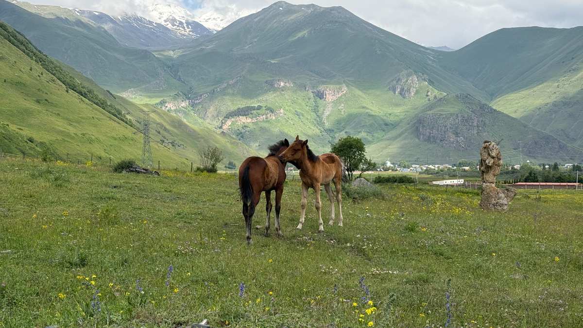 Середина лета в горах