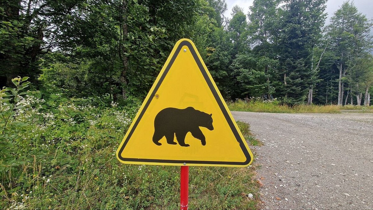    Фото: телеканал «Краснодар»