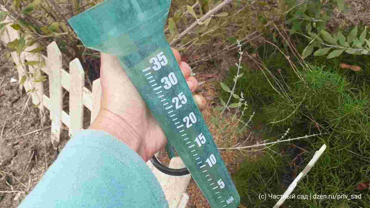 Осадкометр в саду