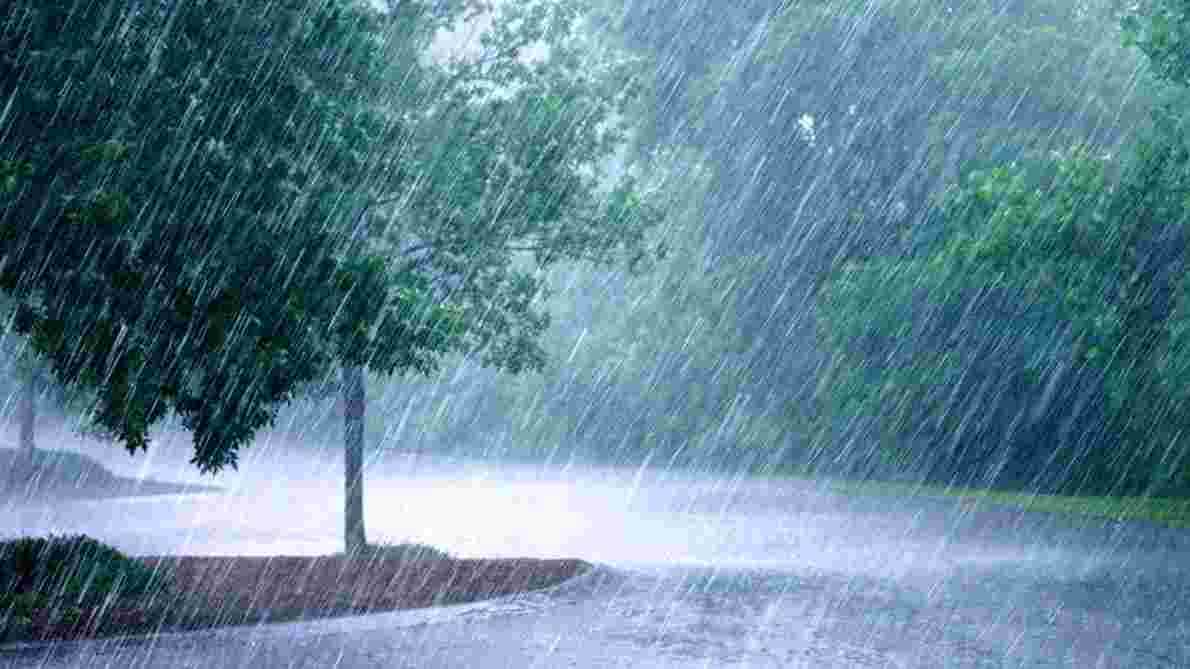 Живительный ливень