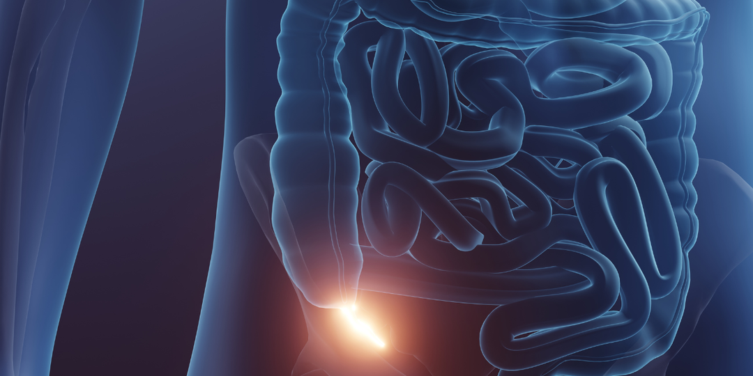 Зачем человеку аппендикс и правда ли он бесполезен?