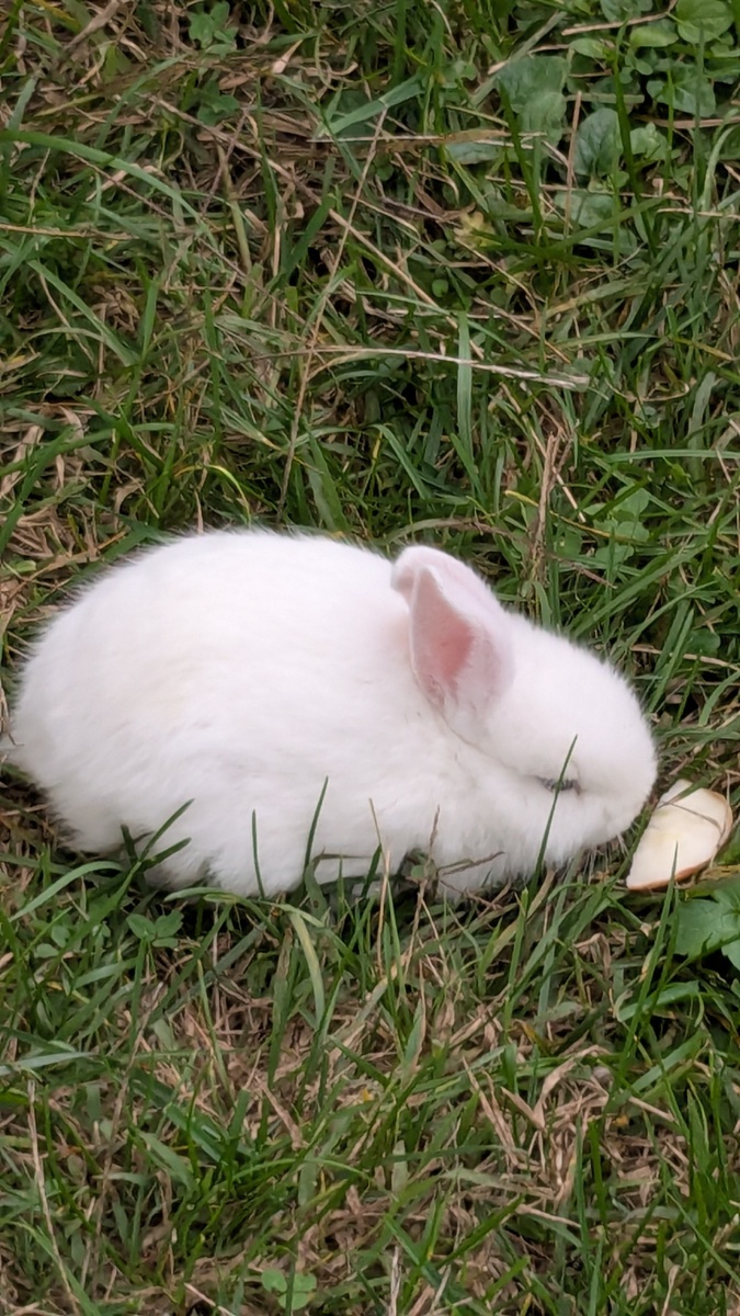 Вот этого малыша мы гладили. Фото автора