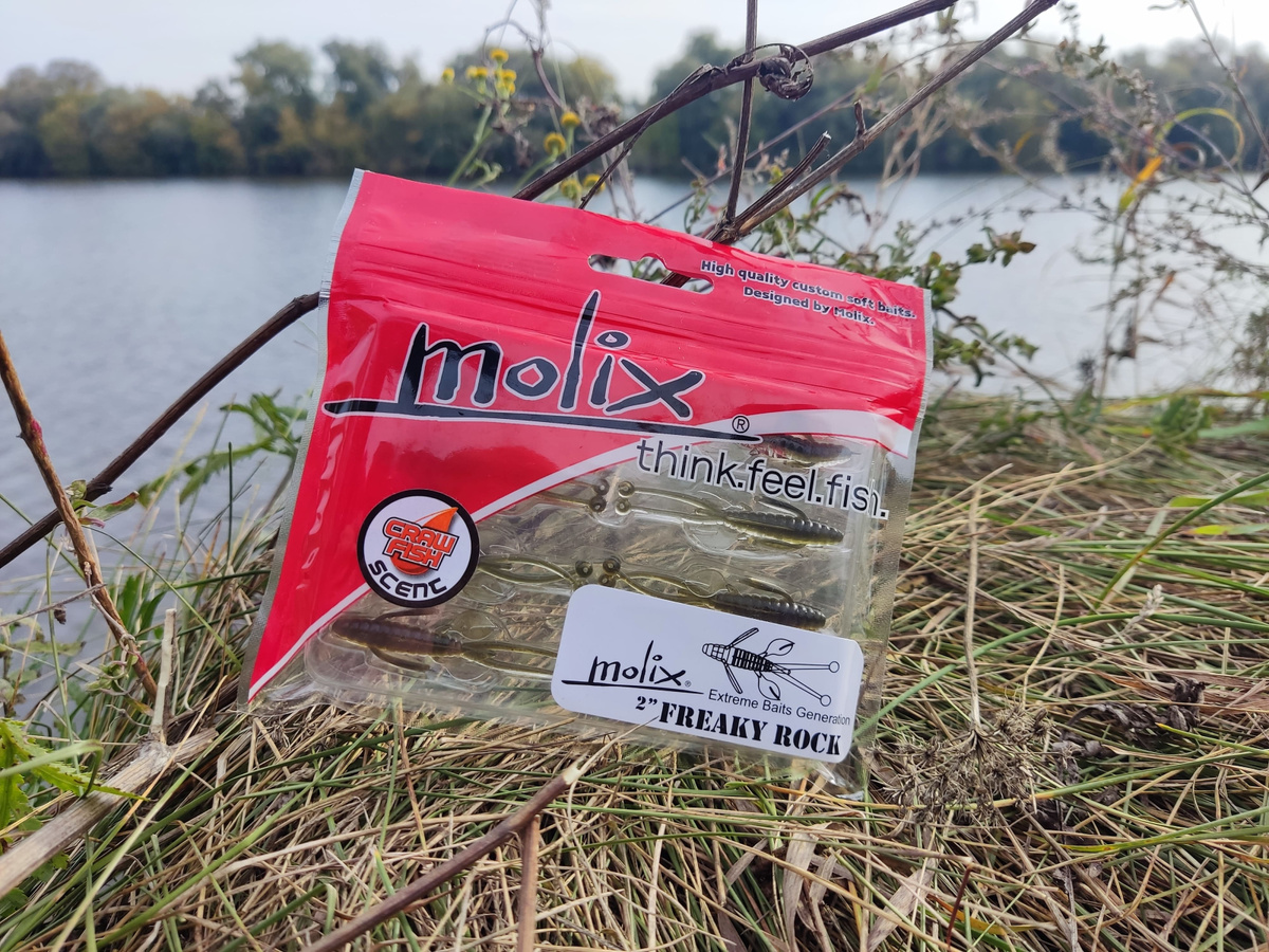 А вот и гвоздь программы.