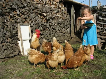 Фото из интернета