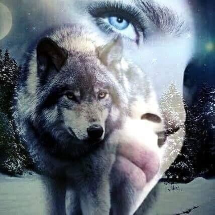 Фото из сети