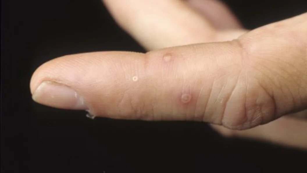    Фото: Globallookpress