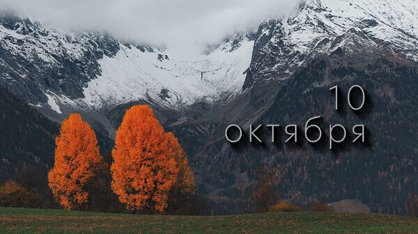    © Photo : eberhard grossgasteiger: Pexels