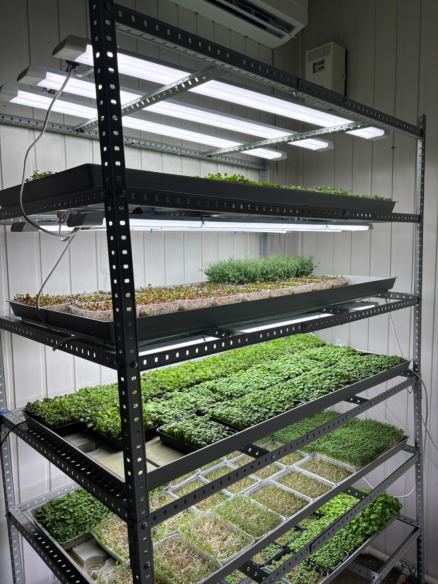 Небольшая часть фермы