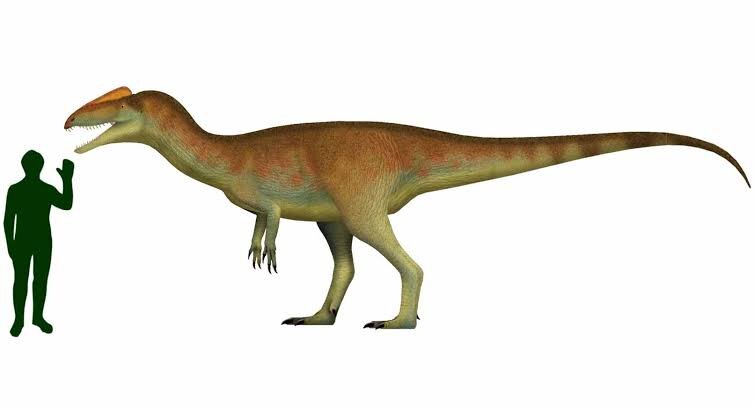 Ньютонзавр по сравнению с человеком.