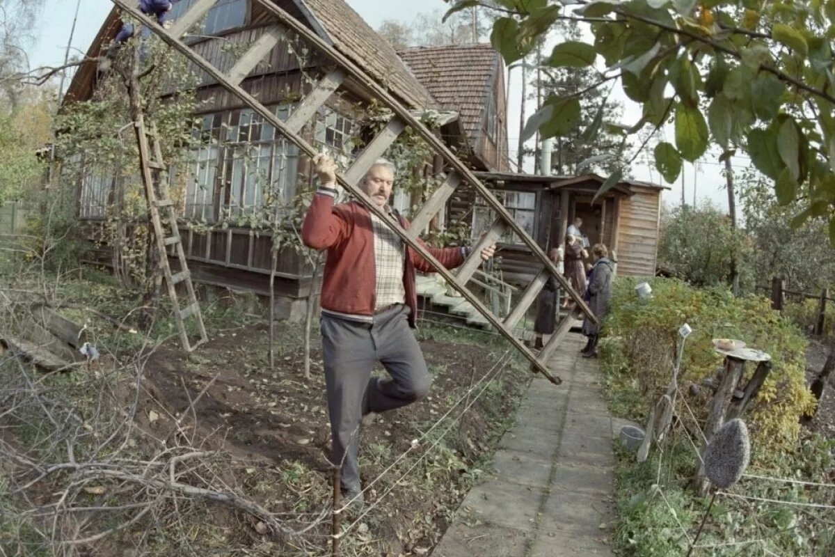    Оставляя участок до весны, нужно успеть многое сделать, иначе урожай следующего года может сильно расстроить.