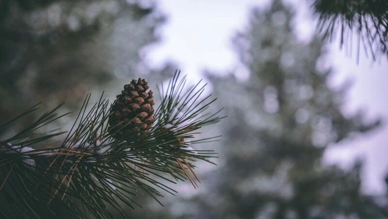     Фото: @wirestock / www.freepik.com