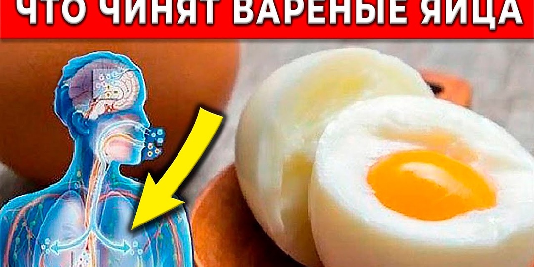 Ела по 2 вареных яйца в день и вот что произошло с моим телом...