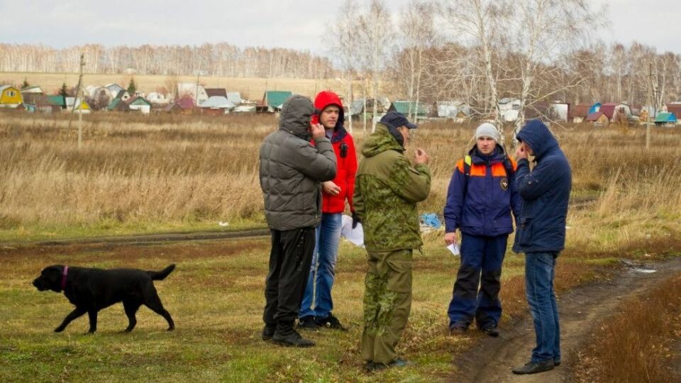    Поиски пропавшего человека. Источник: "Лиза Алерт"