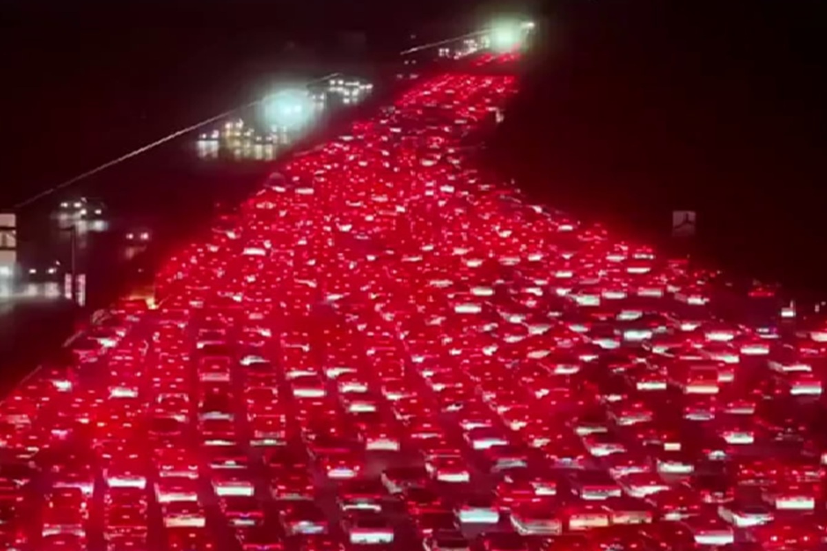    Фото: соцсети