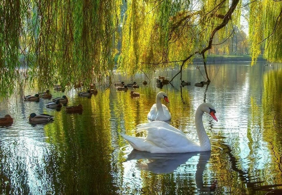 Фото из Интернета